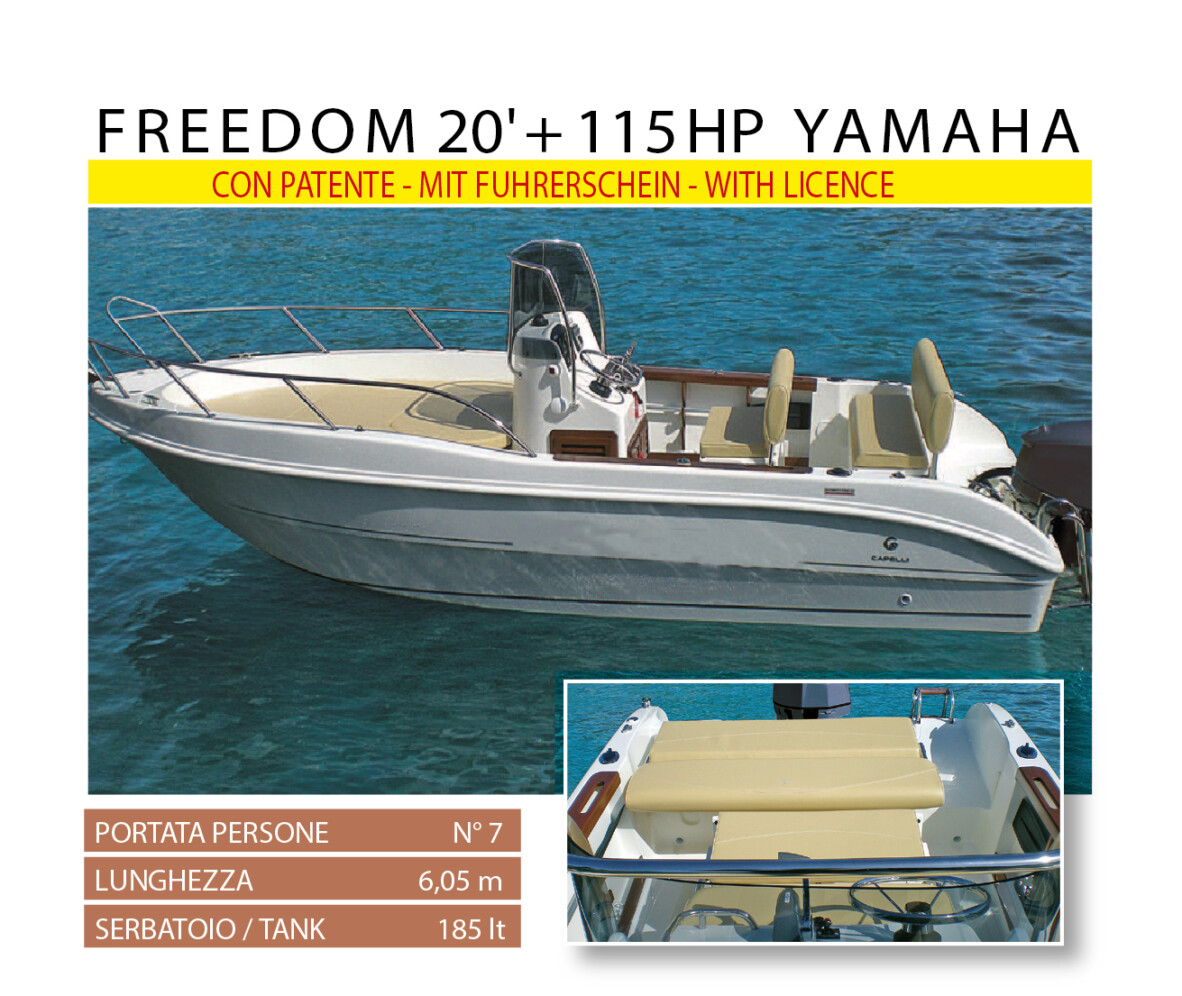 Capelli Freedom 20' + 115 HP Yamaha